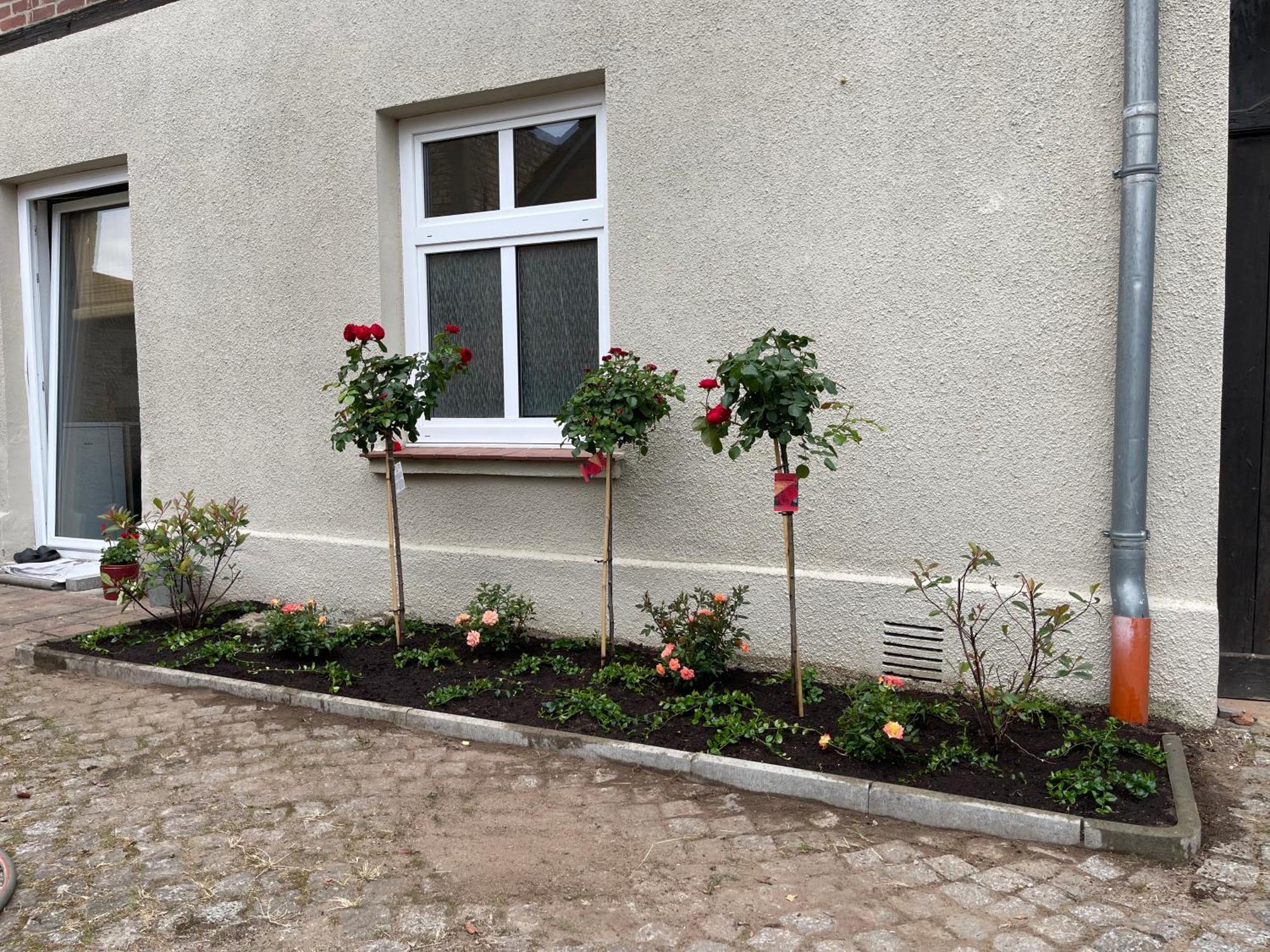 Hofquartier Schwerin Apartment Шверин Екстериор снимка